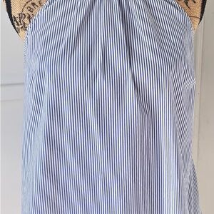 41 Hawthorn Blue and White Ruched A-Line Top